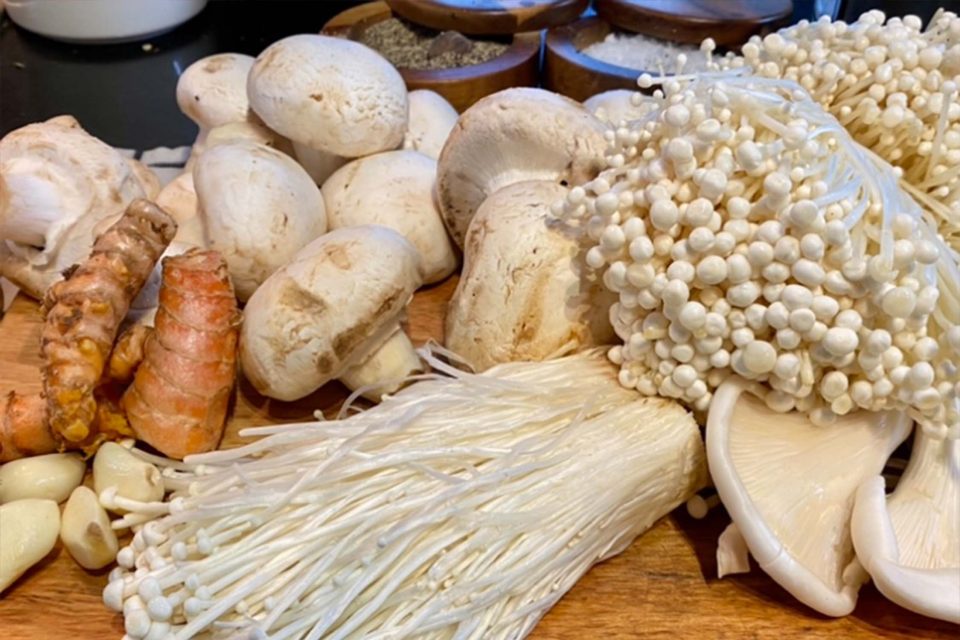 muchroom soup jan cranitch